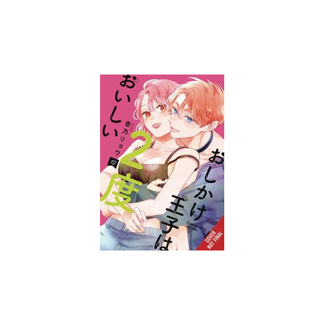 DOUBLE THE TROUBLE TWICE AS NICE GN VOL 2