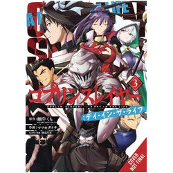 GOBLIN SLAYER DAY IN LIFE GN VOL 3