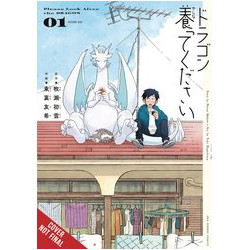 PLEASE LOOK AFTER THE DRAGON GN VOL 1