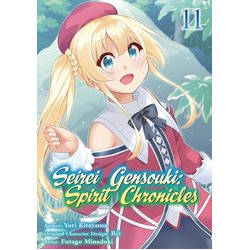 SEIREI GENSOUKI SPIRIT CHRONICLES GN VOL 11