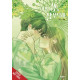 SEE YOU IN MY 19TH LIFE GN VOL 9