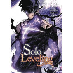 SOLO LEVELING GN VOL 14