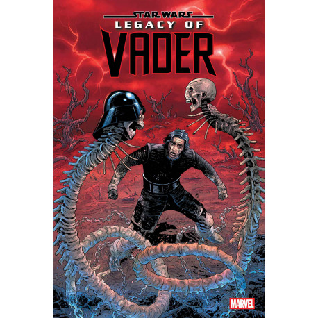 STAR WARS LEGACY OF VADER 10 CVR C LUKE ROSS VAR