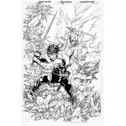 TITANS 29 CVR B BRAD WALKER CARD STOCK VAR DC K O 