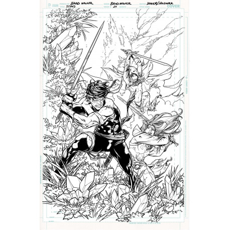 TITANS 29 CVR B BRAD WALKER CARD STOCK VAR DC K O 
