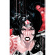 ABSOLUTE WONDER WOMAN 14 CVR D DUSTIN NGUYEN CARD STOCK VAR