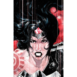 ABSOLUTE WONDER WOMAN 14 CVR D DUSTIN NGUYEN CARD STOCK VAR