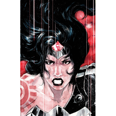 ABSOLUTE WONDER WOMAN 14 CVR D DUSTIN NGUYEN CARD STOCK VAR