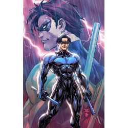 NIGHTWING 132 CVR C PAOLO PANTELENA CARD STOCK VAR