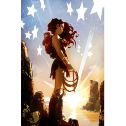 WONDER WOMAN 27 CVR D CARY NORD CARD STOCK VAR