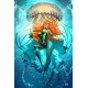 AQUAMAN 11 CVR C EDWIN GALMON CARD STOCK VAR