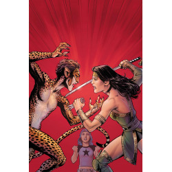 CHEETAH AND CHESHIRE ROB THE JUSTICE LEAGUE 4 OF 6 CVR A NICOLA SCOTT