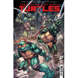 TEENAGE MUTANT NINJA TURTLES 13 CVR A FREDDIE WILLIAMS II