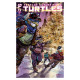 TEENAGE MUTANT NINJA TURTLES 13 CVR C JARED CULLUM VAR