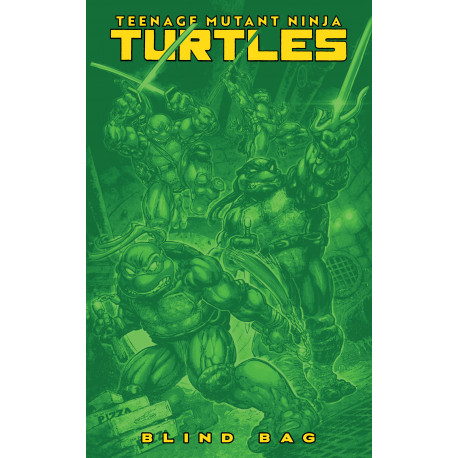 TEENAGE MUTANT NINJA TURTLES 13 CVR F BLIND BAG VAR