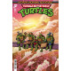 TEENAGE MUTANT NINJA TURTLES SATURDAY MORNING ADVENTURES 31 CVR C FRANCINE DELGADO VAR