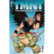 TMNT JOURNEYS 3 CVR B ERIC TALBOT VAR