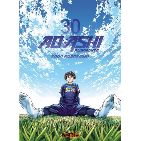 AO ASHI T30