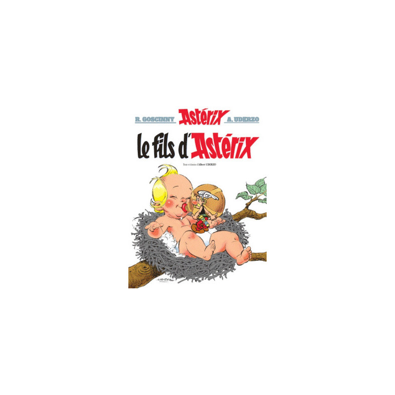 ASTERIX 27 LE FILS DASTERIX