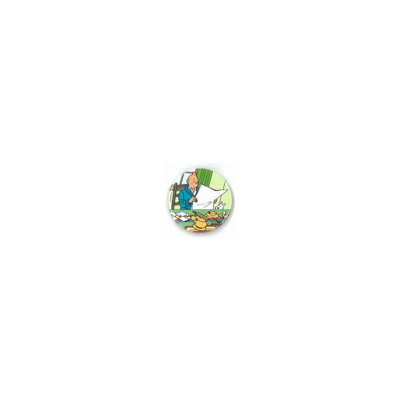 MAGNET JOURNAL TINTIN