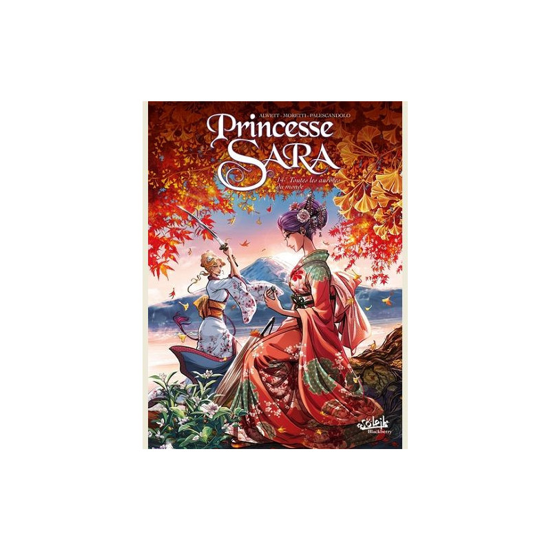 PRINCESSE SARA T14  TOUTES LES AURORES DU MONDE