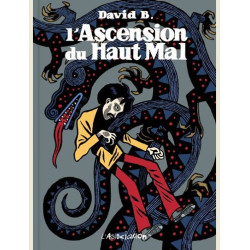 L  ASCENSION DU HAUT MAL   ED  CARTONNEE 