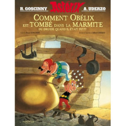 ASTERIX  ALBUM ILLUSTRE  COMMENT OBELIX EST TOMBE DANS LA MARMITE QUAN