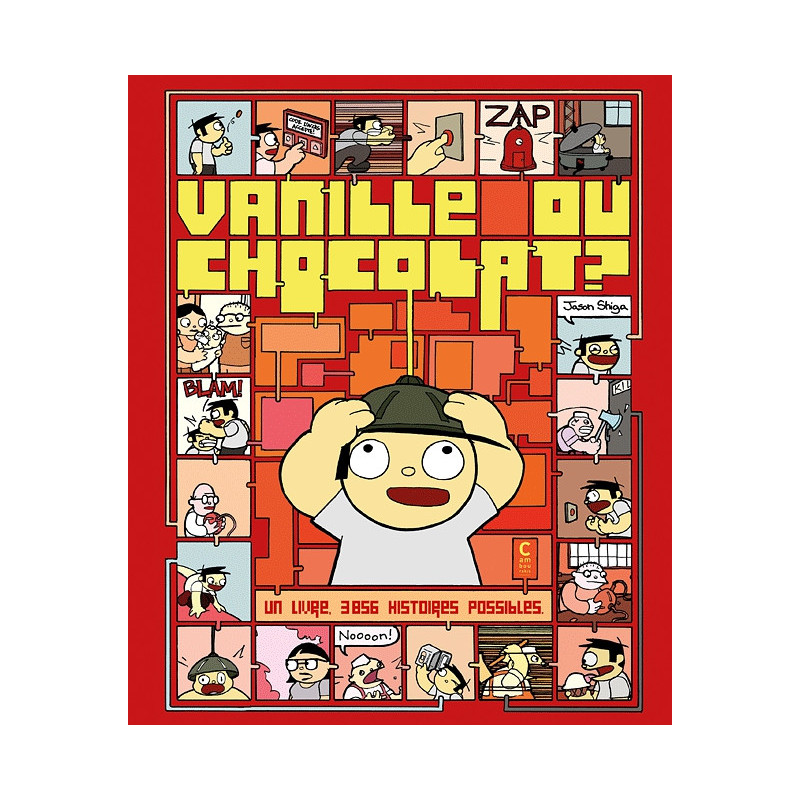 VANILLE OU CHOCOLAT  - UN LIVRE 3856 HISTOIRES POSSIBLES