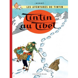 TINTIN  PETIT FORMAT COULEURS  T20  TINTIN AU TIBET