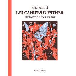 LES CAHIERS D ESTHER TOME 6 HISTOIRES DE MES 15 ANS