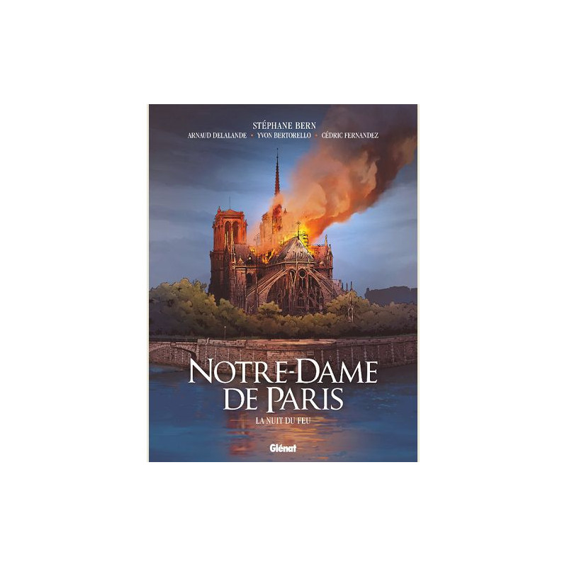NOTREDAME DE PARIS  LA NUIT DU FEU