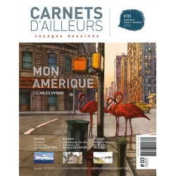 CARNETS D AILLEURS T03  VOYAGES DESSINES