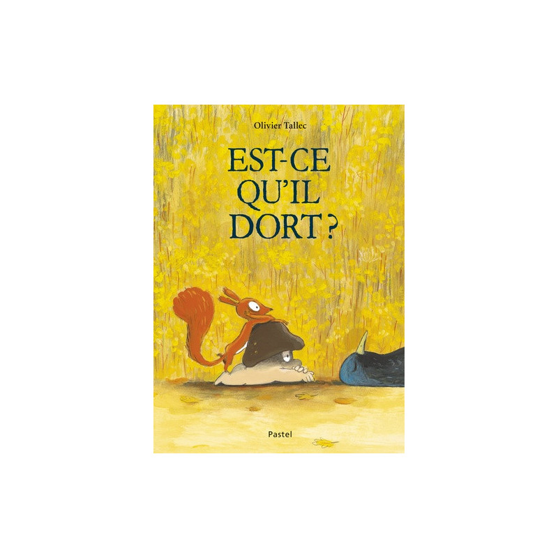 L ECUREUIL  T05 EST CE QU IL DORT