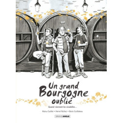 UN GRAND BOURGOGNE OUBLIE  T02 UN GRAND BOURGOGNE OUBLIE  VOL 02  HIST