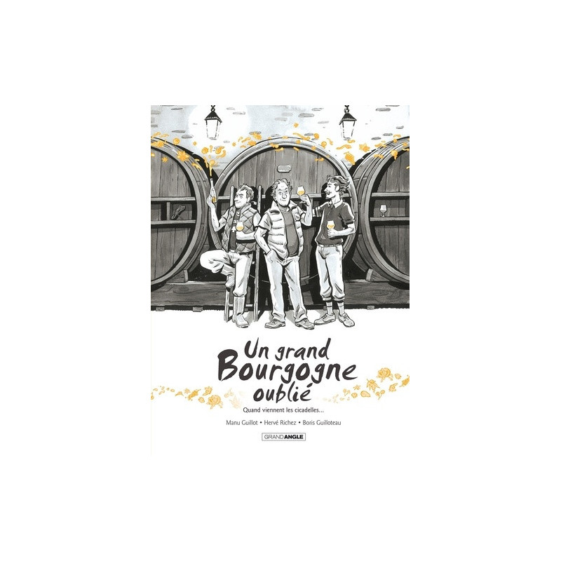 UN GRAND BOURGOGNE OUBLIE  T02 UN GRAND BOURGOGNE OUBLIE  VOL 02  HIST