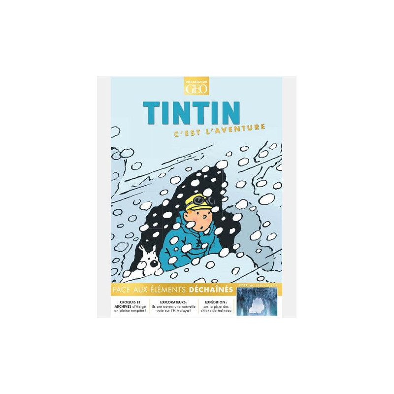TINTIN C EST L AVENTURE 22 FACE AUX ELEMENTS