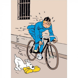 TINTIN SUR SON VELO LE LOTUS BLEU CHEMISE PLASTIQUE 21X29CM