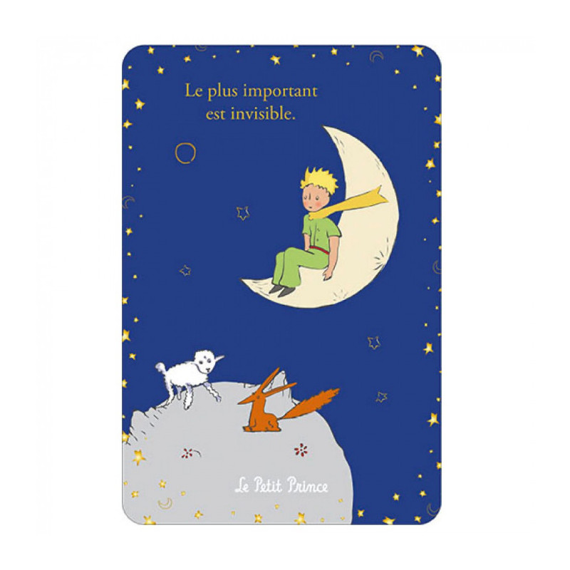LE PETIT PRINCE SUR LA LUNE REGARDANT LE MOUTON ET LE RENARD CARTE POS