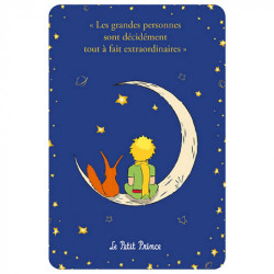 LE PETIT PRINCE ET LE RENARD ASSIS SUR LA LUNE CARTE POSTALE 10X15CM