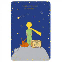 LE PETIT PRINCE ET SON RENARD AVEC SA VALISE CARTE POSTALE 10X15CM