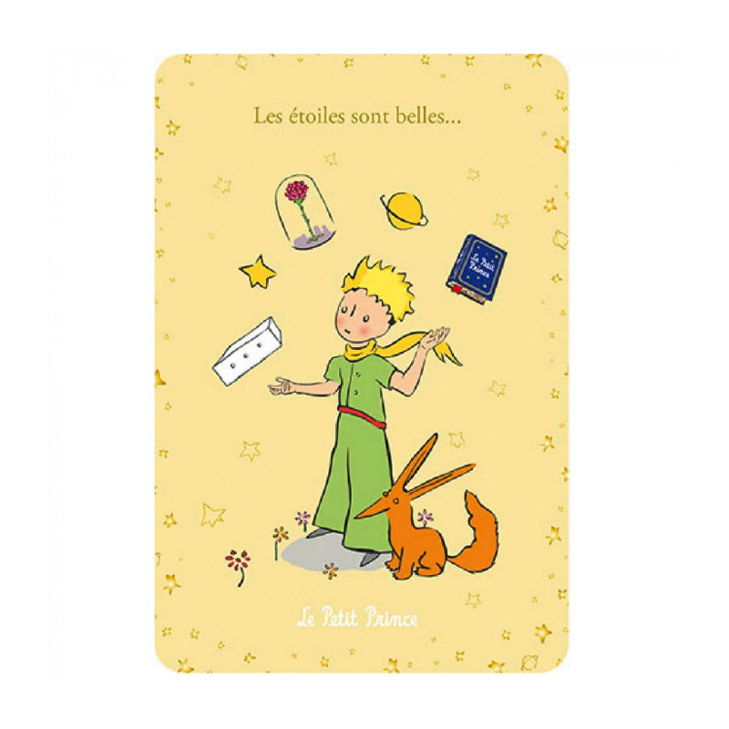 LE PETIT PRINCE LA FORCE DE LA GRAVITE 10X15CM CARTE POSTALE