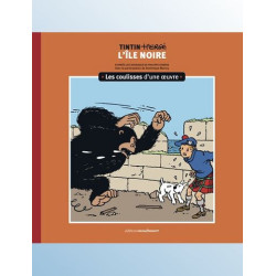 LES COULISSES D UNE OEUVRE T07 LES COULISSES D UNE OEUVRE 7 VOL07 L IL