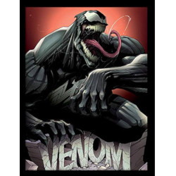 VENOM ROCK 30 X 40 CM FRAMED PRINT