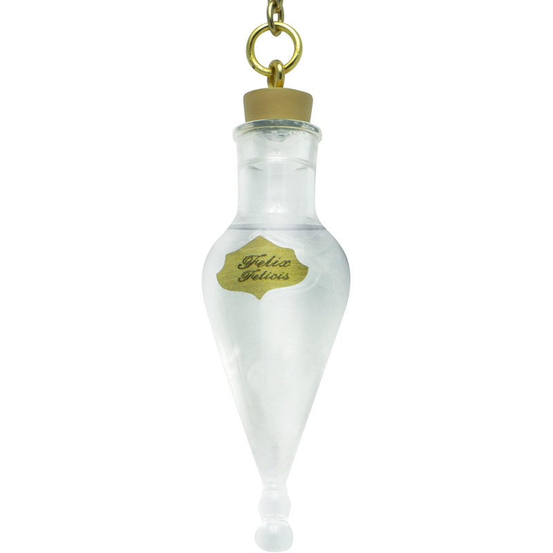 FELIX FELICIS HARRY POTTER PORTECLES 3D