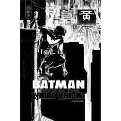 BATMAN BEYOND THE WHITE KNIGHT  EDITION SPECIALE N B
