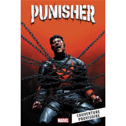 PUNISHER T03  LA FIN DU PUNISHER