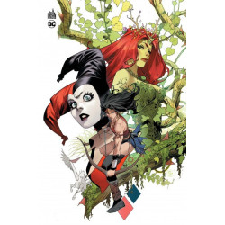 DARK KNIGHTS OF STEEL TOME 2  COUVERTURE VARIANTE