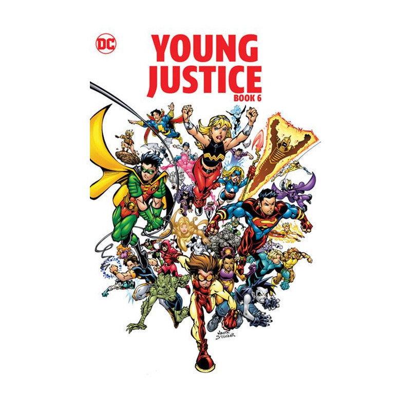 YOUNG JUSTICE TP BOOK 06