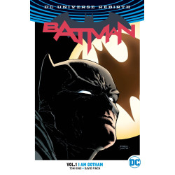 BATMAN VOL 1 I AM GOTHAM