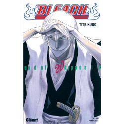 BLEACH  TOME 20  END OF HYPNOSIS